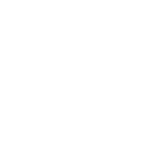 Vina Taiyo Spring Co. LTD
